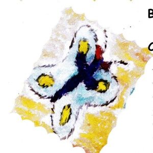 Life is not about how many breaths you take but..